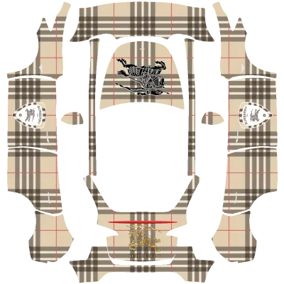 Burbery Skin