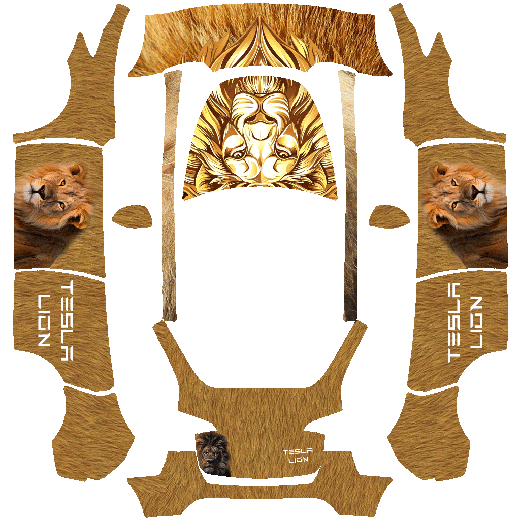3D Lion Serengetti