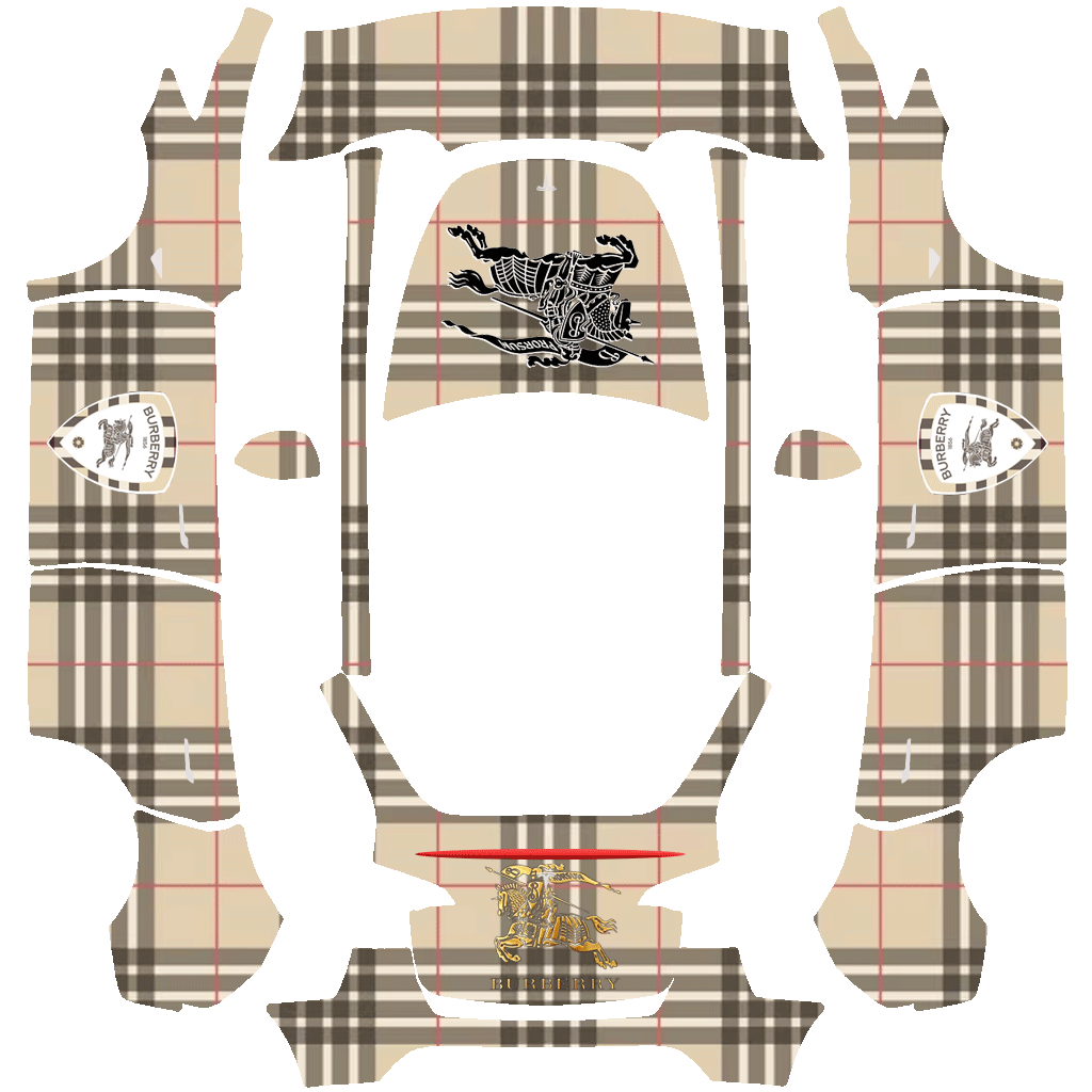Burbery Skin